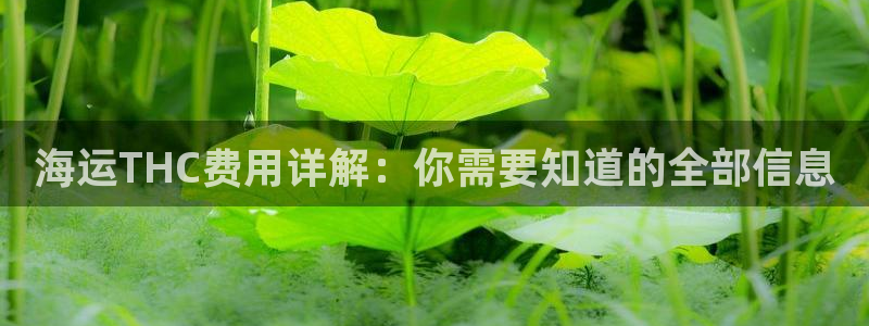 公海赌钱算合法收益吗