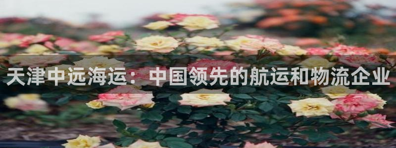 欢迎您来到公海欢迎来到赌船