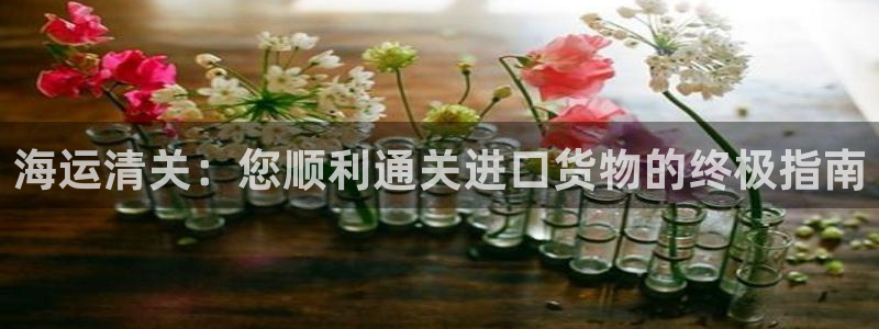 公海赌赌船官网可以做代理吗