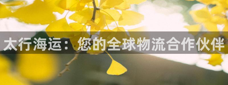 欢迎来到公海7109线路