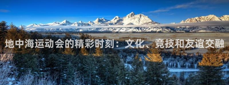 公海赌船网页