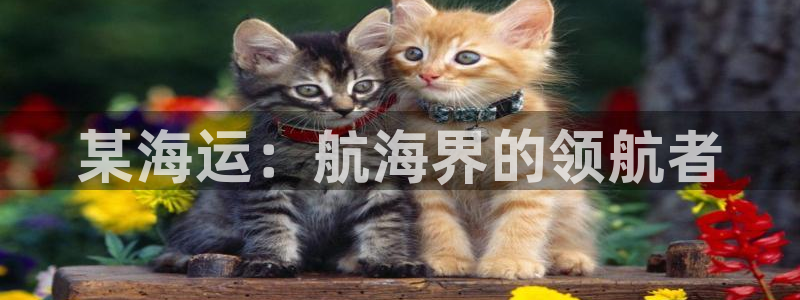 公海赌赌船官网真的