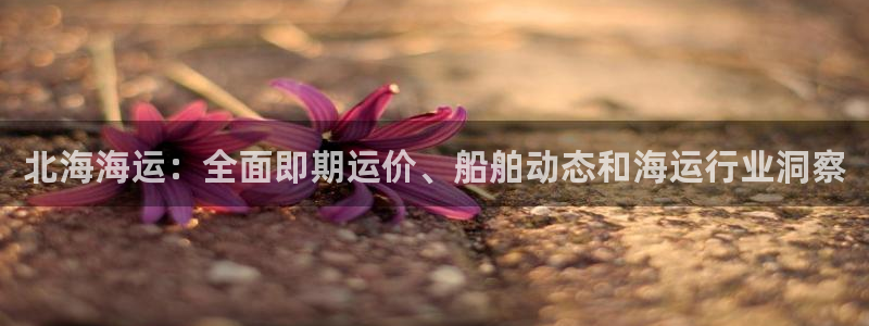 公海赌赌船手机下载