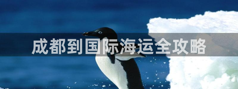 公海赌船官方