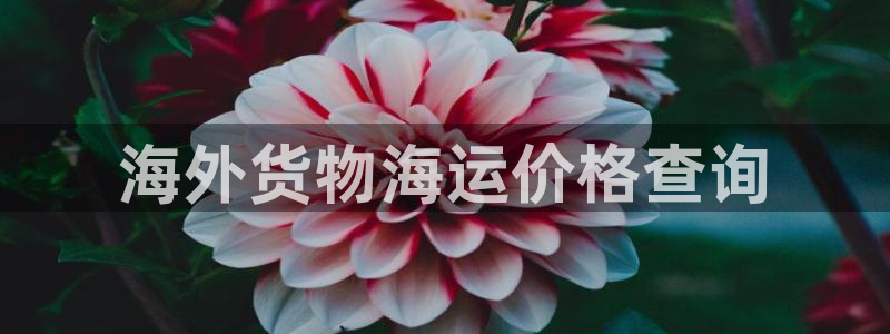 公海赌钱很大吗