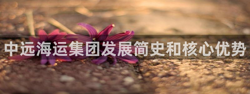 欢迎您来到公海