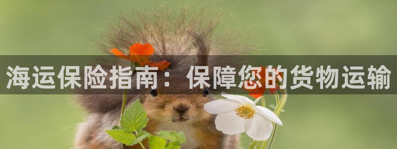 公海赌钱犯法吗