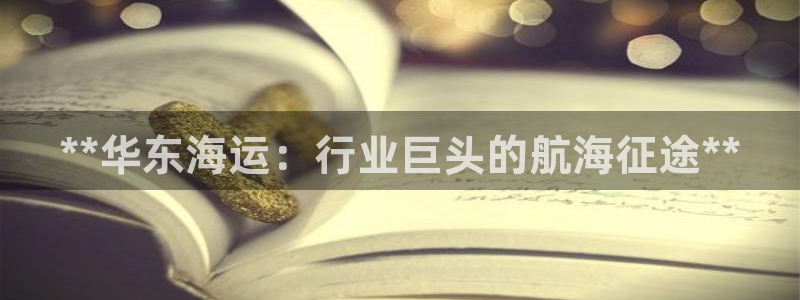 欢迎来到公赌船