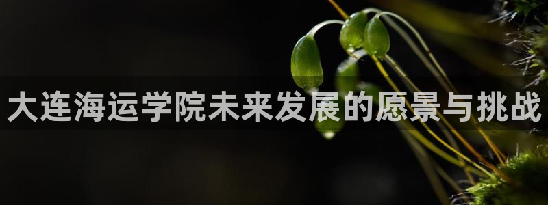 欢迎来到公赌船