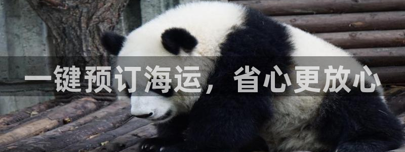 欢迎来到赌船公海710