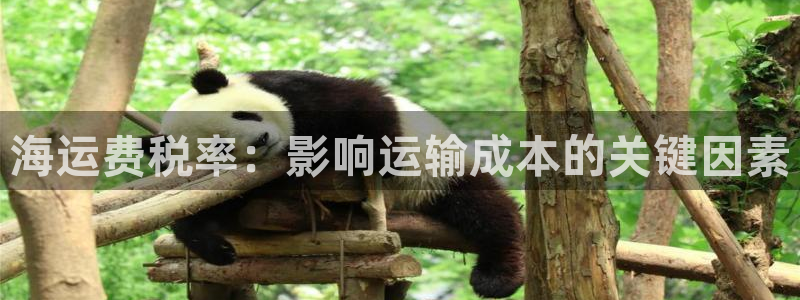 欢迎您来到公海欢迎来到赌船