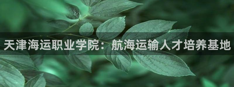 公海欢迎来到
