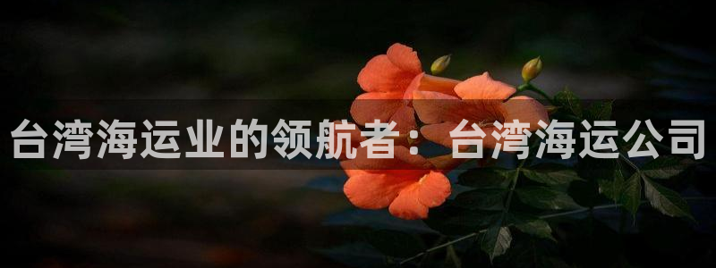 公海赌赌船官网可以做代理吗