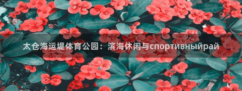 欢迎公海来到赌船710_首页(欢迎您)