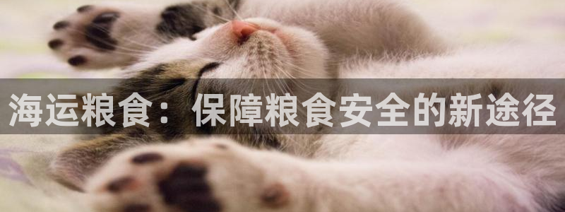 公海欢迎来到