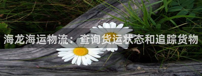 欢迎你来到公海赌