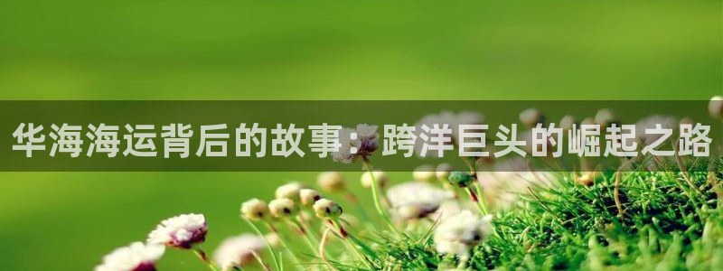 欢迎来到公海欢迎来到赌船
