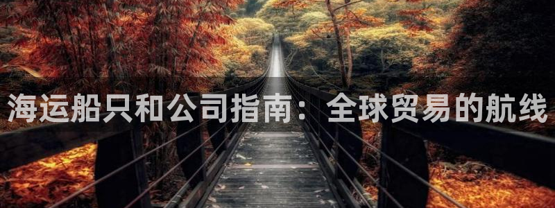 公海赌博是什么意思