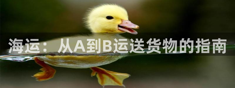 欢迎你来到公海710