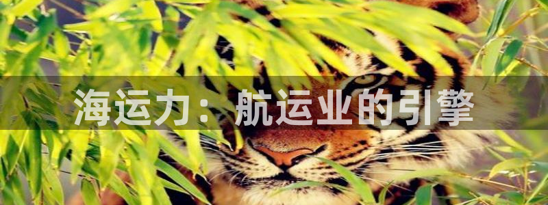 欢迎公海来到赌船710_首页(欢迎您)