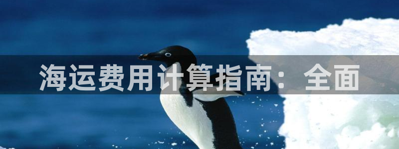 公海赌赌船官网