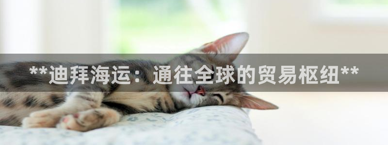 欢迎来到赌船公海710