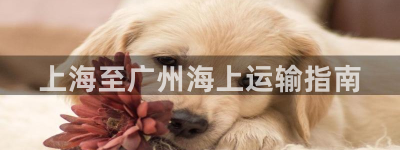 公海赌船官网下载