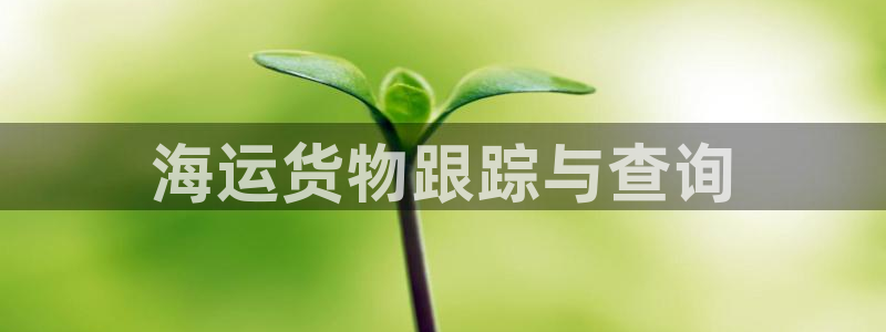 公海赌博犯法吗