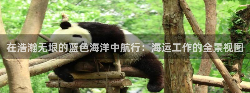 公海赌赌船最新版本更新内容