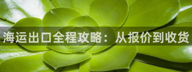 在公海赌博不违法吗