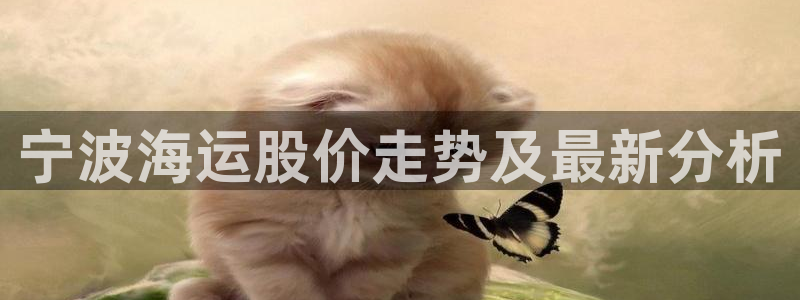 公海赌赌船官网真的吗